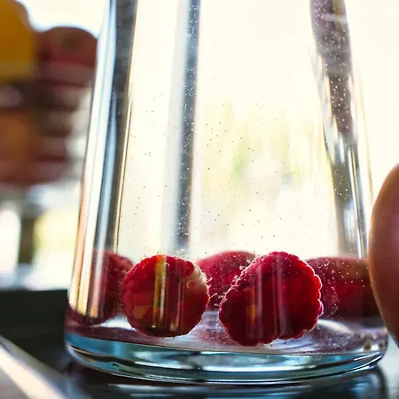 Pro Musica - Opcja Sniadania Appartement