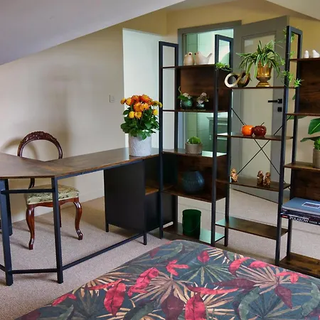 Pro Musica - Opcja Sniadania Apartmán