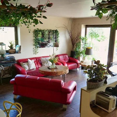 Pro Musica - Opcja Sniadania Appartement