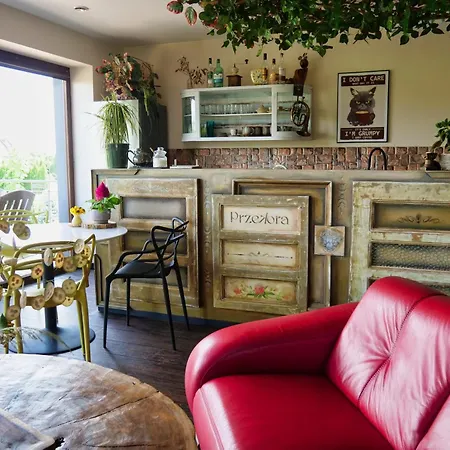 Pro Musica - Opcja Sniadania Lębork