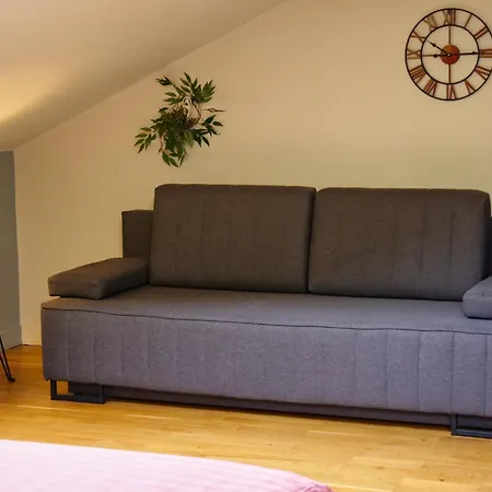 Pro Musica - Opcja Sniadania Appartement *