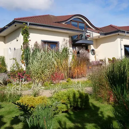 Pro Musica - Opcja Sniadania *