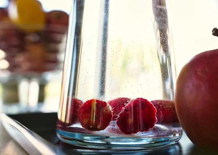 Pro Musica - Opcja Sniadania Appartement