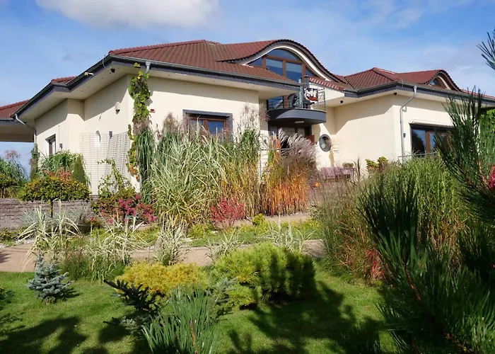 Pro Musica - Opcja Sniadania *